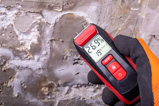 Best Mold Testing and Inspection Services in Manhattan, NY