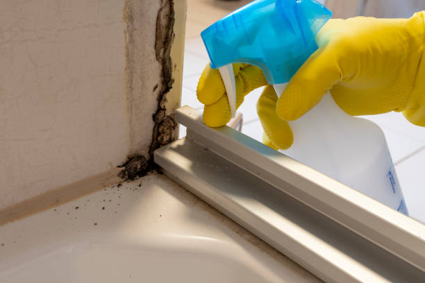 Best Mold Remediation for Specific Building Types in Manhattan, NY