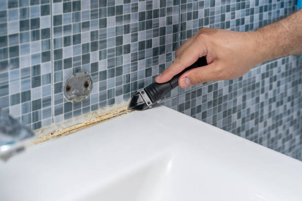 Best Emergency Mold Remediation in Manhattan, NY